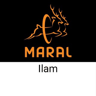 نمایندگی مارال چرم ایلام (maral leather )