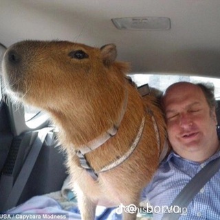 хз как назвать