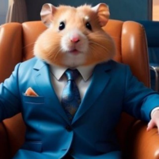 Hamster Combat