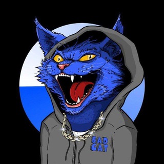 基地上的坏猫 (BADCAT on Base)