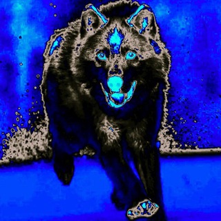 WOLF CALL(💠😎)Gold Crypto