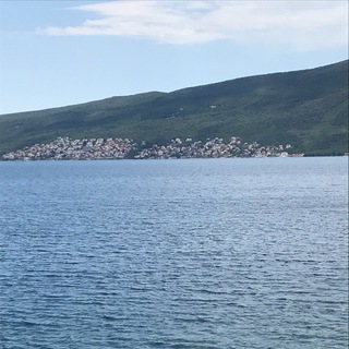 Alexander