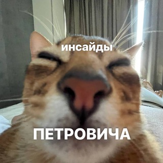 Предложка Инсайдов Пети и