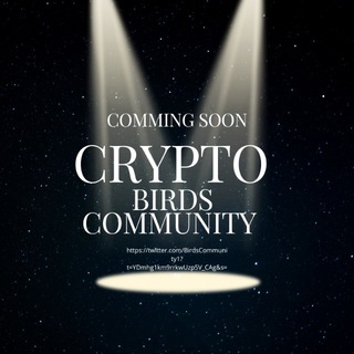 Crypto Birds Community News
