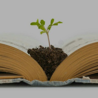 Info Grows Chat
