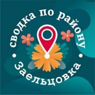 Заельцовка. Сводка по району. 😊