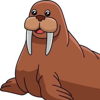 Walrus