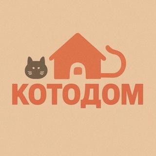 КОТОДОМ 🐱🏡
