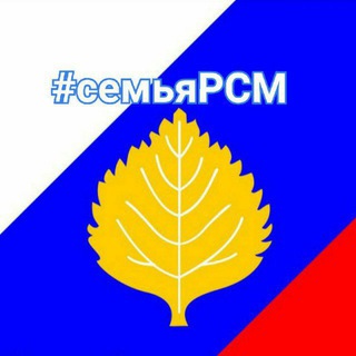 ПоддержкаСемьиРСМ