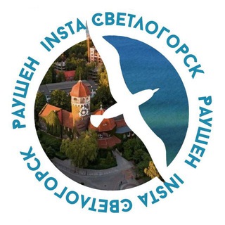 INSTA_SVETLOGORSK