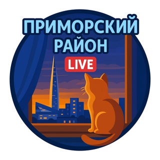 🌉 Приморский район Live