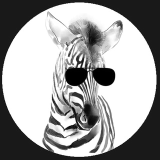 Zoomer Community Official Chat