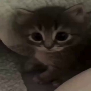 ещKering