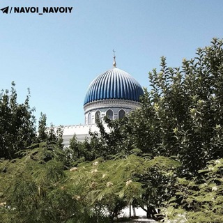 Navoiy Kanal Admini (Umar)