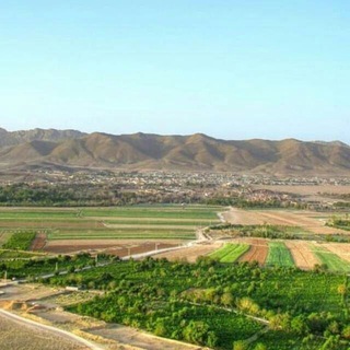اخبار گیان