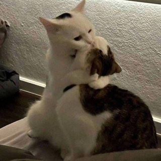 Мы в предложке?