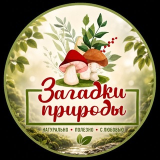 ЗАГАДКИ ПРИРОДЫ | ЕЖОВИК | ЧАГА | КОРДИЦЕПС | ЛИСИЧКА |