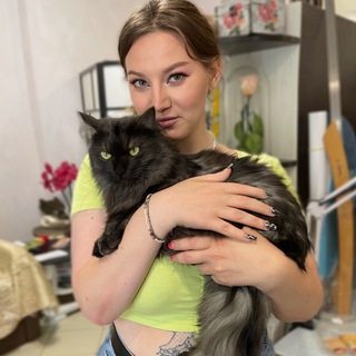 Котики на сісічках 🍒