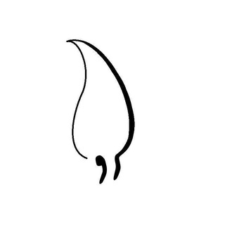 سرونامه