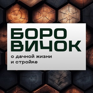 Боровичок (группа)