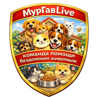 МурГавLive 🐾
