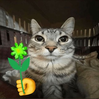 . Tsесho .