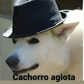 Lendario Random