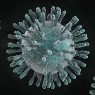 PH Coronavirus Updates 🇵🇭
