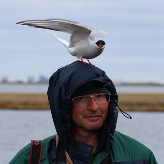 Alex Yakovlev