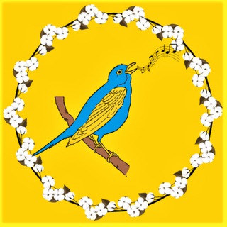 Українська музика - слухай солов‘їною🕊️