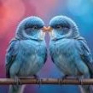 Delhi Dating Group