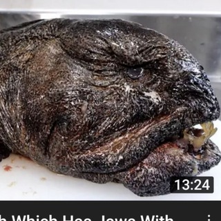 Hell.com