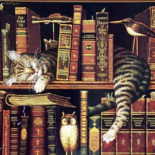 Страницы забытых книг