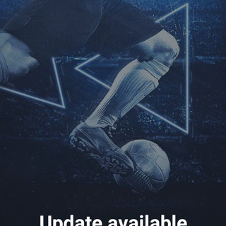 1XBET