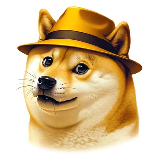 给狗狗戴上帽子