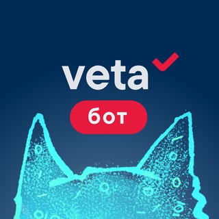 Экспертная группа Veta: обратная связь