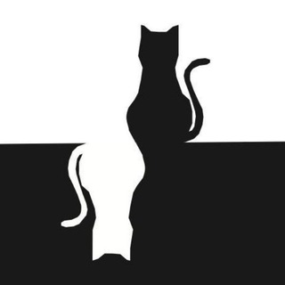 【CAT77】测速图