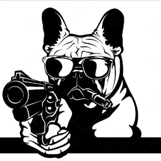 Admin 🕶️