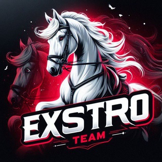 EXSTRO TEAM Official