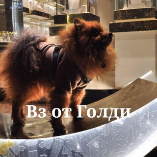 Помощь/вз от Голди