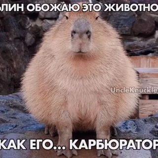 Спящий Карбюратор