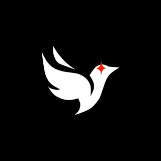Предложить запись в Голубятню