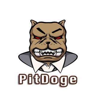 PitDoge🇨🇳Chinese Group