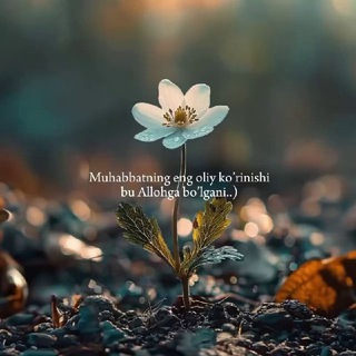 Абдуллоҳ Маҳкамов