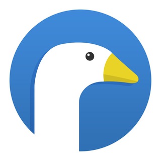 RIZVIDEO
