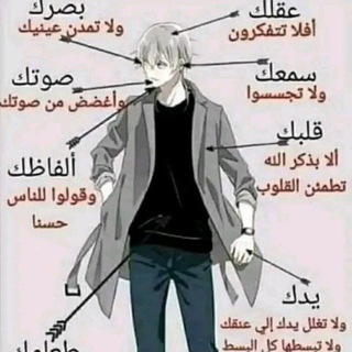 بوت تواصل