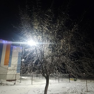 Клуб бравл Старс