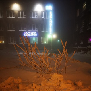 Беседка библиотеки