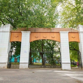 Чат канала «Мой Дмитровский»