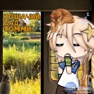 ( ПЕРЕЕЗД !! ) ໒ ꒱ Кош๑чий с๑д Т๑мми (!!) 🐈 合